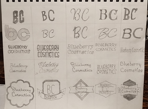 Blueberry Cosmetics Logo Sketches